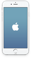 iPhone Icon